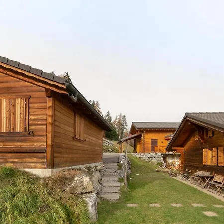 Chalet Belle Vue - 10 Pers - Fireplace - Apple Tv *